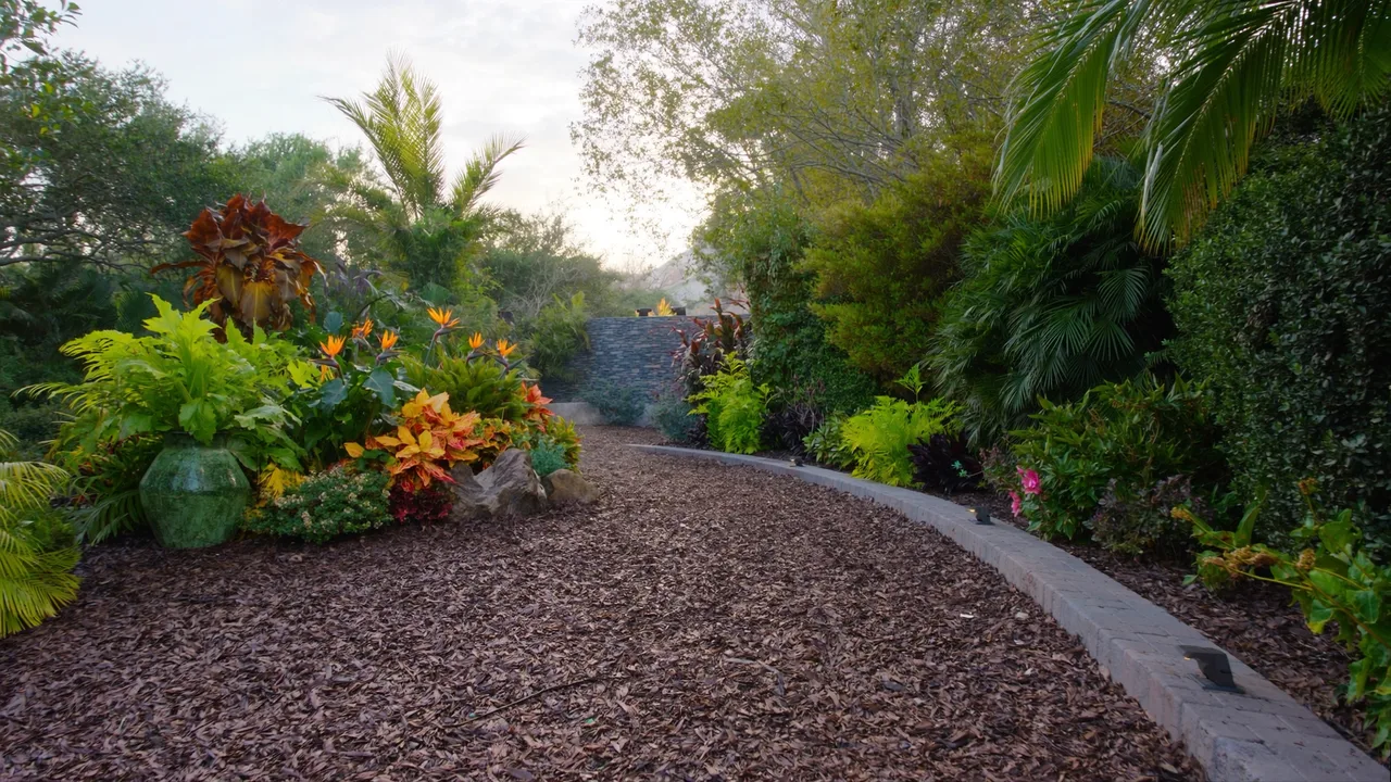 Landscape Design & Installation